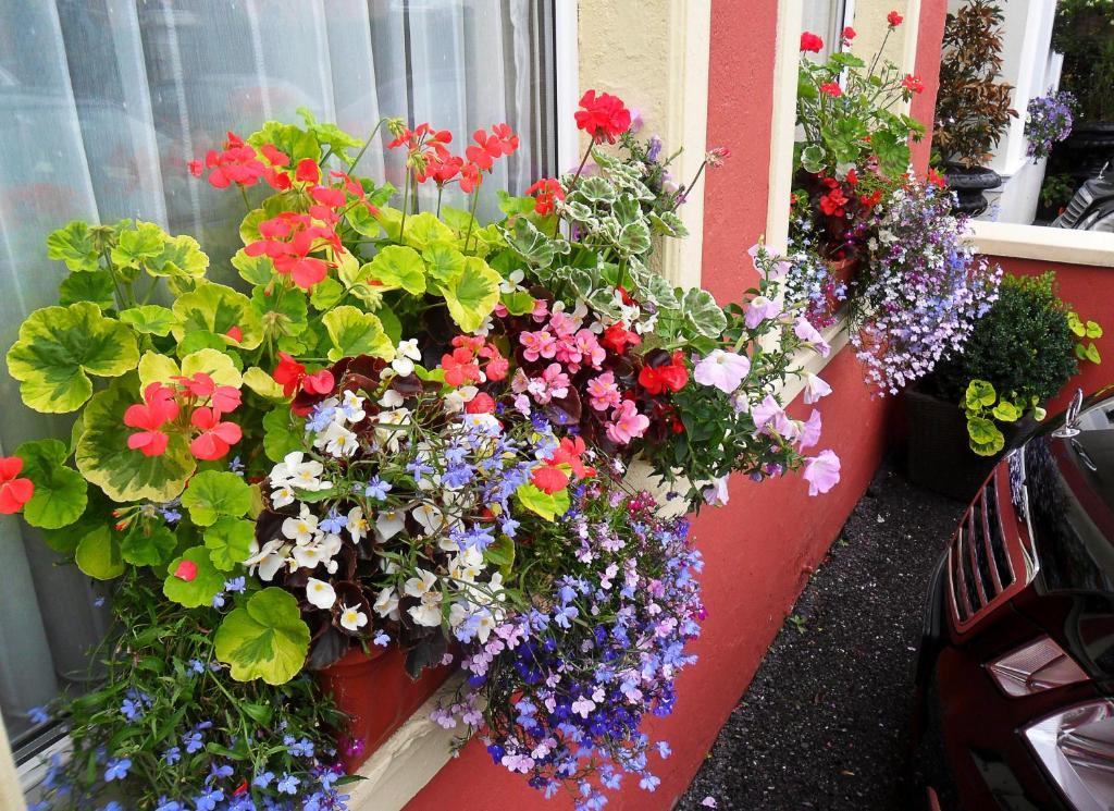 Hotel Achill House Cork Exteriér fotografie